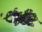 Kabelstrang Kabelbaum Motor FORD MONDEO V Stufenheck 2.0 Hybrid 12C508B6EJ3
