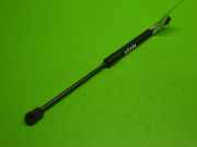 Gasdruckfeder Dämpfer hinten links SEAT ALTEA XL (5P5, 5P8) 1.9 TDI 5P8827550