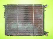 Wasserkühler RENAULT 19 I (B/C53_) 1.9 D (B/C534, B/C53J) 616902VC