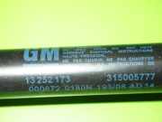 Gasdruckfeder Dämpfer vorne OPEL INSIGNIA 2.0 CDTI 315005777