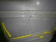 Hauptbremszylinder TESLA MODEL 3 (5YJ3) EV AWD 0204842316