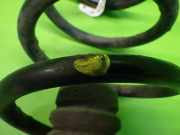 Feder hinten links LANCIA YPSILON (843) 1.3 JTD