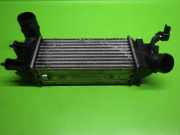 Ladeluftkühler PEUGEOT 406 Break (8E/F) 2.0 HDI 110 9636195580