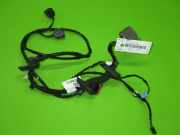 Kabelstrang Kabelbaum T?r hinten rechts JAGUAR XF (_J05_, CC9) 2.2 D DX23-14632-BB