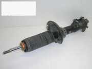 Stoßdämpfer vorne links VW POLO (6N2) 1.4 16V 6N0413031K