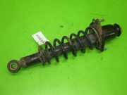 Federbein hinten links TOYOTA COROLLA (_E12_) 1.6 VVT-i (ZZE121_) 4823102180