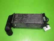 Ladeluftkühler PEUGEOT 406 Break (8E/F) 2.0 HDi 110 9637809480