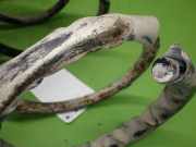 Feder hinten links FORD COURIER Kasten (J5_, J3_) 1.8 D