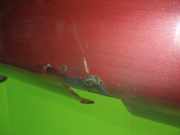 Stoßfänger Stoßstange hinten NISSAN (DATSUN) ALMERA TINO (V10) 1.8