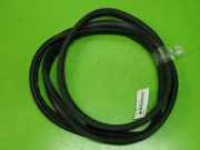 Türgummi Türdichtung vorne rechts LANCIA YPSILON (843) 1.3 JTD