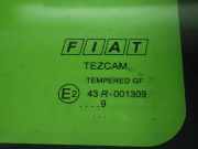 Seitenscheibe links FIAT DOBLO (119) 1.3 D Multijet