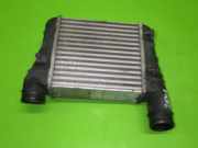 Ladeluftkühler AUDI (NSU) A4 Avant (8ED, B7) 2.0 TDI 8E0145805S