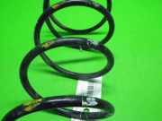 Feder vorne links FIAT PUNTO (176_) 55 1.1