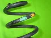 Feder hinten links RENAULT MEGANE II (BM0/1_, CM0/1_) 1.9 dCi (BM0G, CM0G) 8200279733