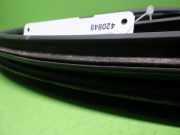 Türgummi Türdichtung vorne rechts FORD KA (RU8) 1.2 1824565