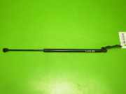 Gasdruckfeder Dämpfer hinten rechts VW PASSAT Variant (3G5) 2.0 TDI 3G9827550A