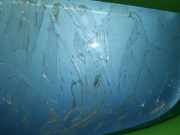 Dachspoiler RENAULT ZOE (BFM_) ZOE 960306120R