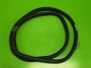 Türgummi Türdichtung hinten links SEAT LEON (1P1) 1.9 TDI