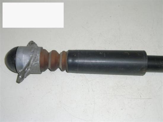 Sto?d?mpfer hinten rechts AUDI (NSU) A3 (8L1) 1.8 T 1J0513025BM Bild Sto?d?mpfer hinten rechts AUDI (NSU) A3 (8L1) 1.8 T 1J0513025BM