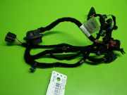 Kabelstrang Kabelbaum T?r hinten links ALFA ROMEO STELVIO (949_) 2.0 Q4 50551874