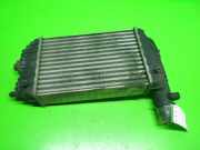 Ladeluftkühler PEUGEOT BOXER Kasten (230L) 2.5 TDI 1307012080