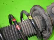 Federbein vorne rechts FORD C-MAX II (DXA/CB7, DXA/CEU) 2.0 TDCi 1699187