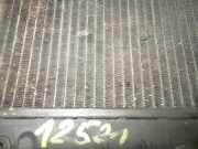 Wasserkühler FIAT TIPO (160_) 2.0 16V (160.AV)