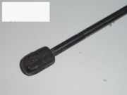 Gasdruckfeder Dämpfer hinten links FORD ESCORT V (GAL) 1.4