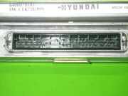 Motorsteuergerät HYUNDAI COUPE (RD) 2.0 16V 95661 - 29000