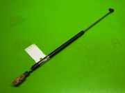 Gasdruckfeder Dämpfer hinten links TOYOTA STARLET (_P9_) 1.3 (EP91_, EP95_) 6896019645