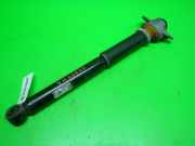 Stoßdämpfer hinten rechts AUDI (NSU) A3 (8P1) 1.6 1K0513029HM