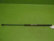 Gasdruckfeder Dämpfer vorne OPEL VECTRA C 2.2 DTI 16V 24454473