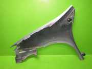 Kotflügel vorne rechts LANCIA PHEDRA (179_) 2.2 JTD (179AXC1A) 1493182088