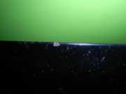 Motorhaube FORD FOCUS Turnier (DNW) 1.8 TDCi 1430131