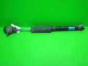 Stoßdämpfer hinten links VW GOLF IV (1J1) 1.9 TDI 1J0513025BG