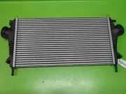 Ladeluftkühler OPEL INSIGNIA Caravan 2.0 Turbo 4x4 13241751