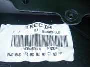 Türverkleidung vorne rechts PEUGEOT 307 (3A/C) 1.6 16V