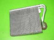 Verdampfer RENAULT SCÉNIC II (JM0/1_) 2.0 dCi (JM1K) 7701207874