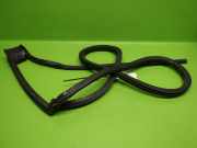 Türgummi Türdichtung vorne links VW GOLF IV Cabriolet (1E7) 1.9 TDI 1E0853352