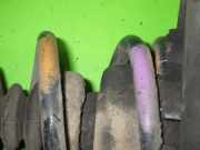 Federbein hinten rechts NISSAN (DATSUN) ALMERA II Hatchback (N16) 1.8