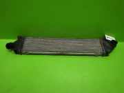 Ladeluftkühler FORD MONDEO IV Turnier (BA7) 2.0 TDCi 6G91-9L440-FD