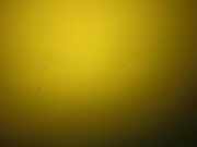 Motorhaube VW POLO Kasten (6NF) 1.9 D 6N0823031D