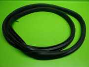 Türgummi Türdichtung hinten links JAGUAR I-PACE (X590) EV400 AWD