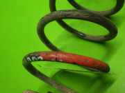 Feder vorne rechts VW GOLF IV Variant (1J5) 1.9 TDI 1J0411105BH