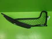 Trenngitter rechts NISSAN (DATSUN) KUBISTAR Kasten (X80) 1.5 dCi 8200380664