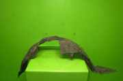 Radhausschale vorne links MAZDA 2 (DE) 1.3