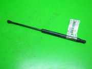 Gasdruckfeder Dämpfer hinten links FORD KA (RU8) 1.2 1542413