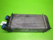 Ladeluftkühler PEUGEOT 206 CC (2D) 1.6 HDi 110 9648402780