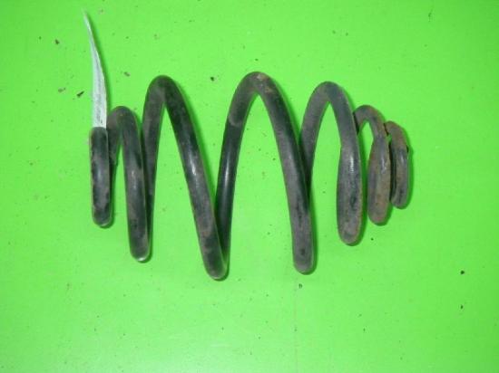 Feder hinten rechts OPEL CORSA B (73_, 78_, 79_) 1.0 i 12V 424394 Bild Feder hinten rechts OPEL CORSA B (73_, 78_, 79_) 1.0 i 12V 424394