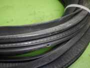 Türgummi Türdichtung hinten links MITSUBISHI LANCER SPORTBACK (CX_A) 1.8 DI-D (CX9A)